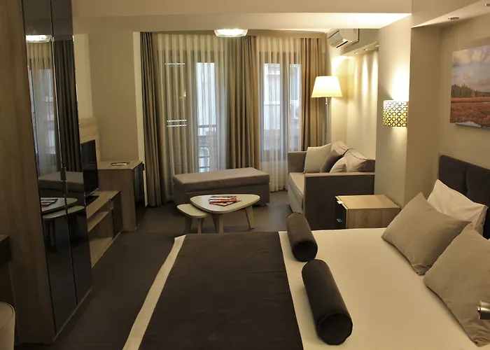 酒店 Bc Pangaldi 伊斯坦布尔