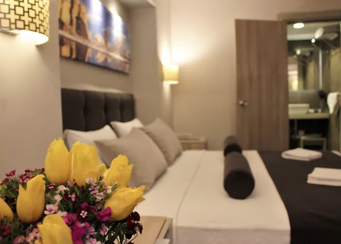 酒店 Bc Pangaldi 伊斯坦布尔